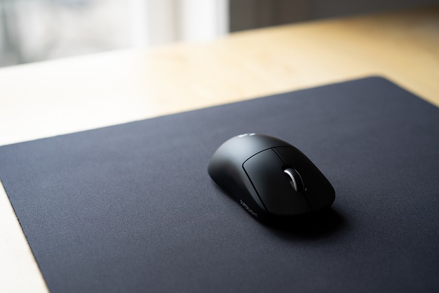 myš k PC